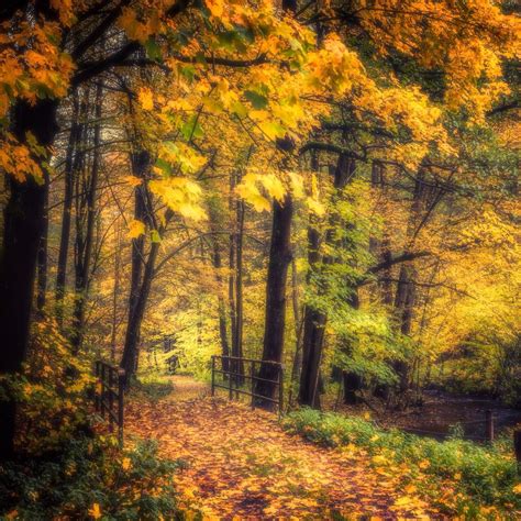 Autumn Impressions Germany By Dirk Seifert 500px Landscape
