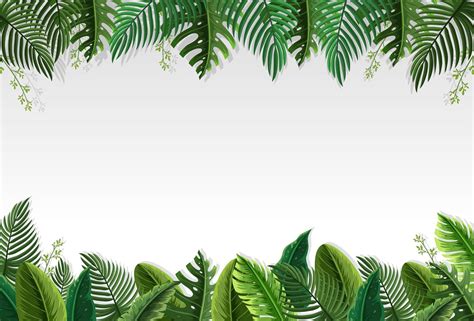 Beautiful Palm Leaf Border Vector Art At Vecteezy