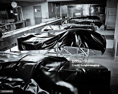 Body Bag Morgue Photos And Premium High Res Pictures Getty Images