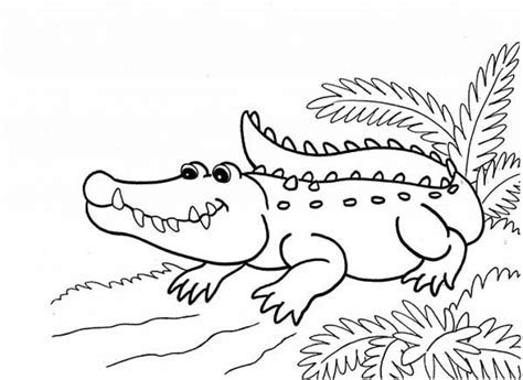 No response for online alligator coloring pages to print swsyq. Get This Printable Alligator Coloring Pages for Kids 5prtr