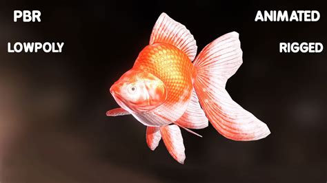 3d Model Goldfish Low Poly 3d Model Rigged Animated Vr Ar Low Poly