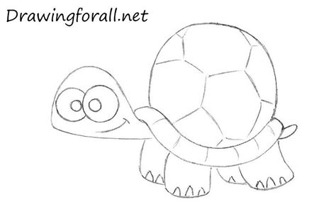 The images above represents how your finished drawing is going to look and the steps involved. How to Draw a Cartoon Turtle | Turtle drawing, Cartoon ...