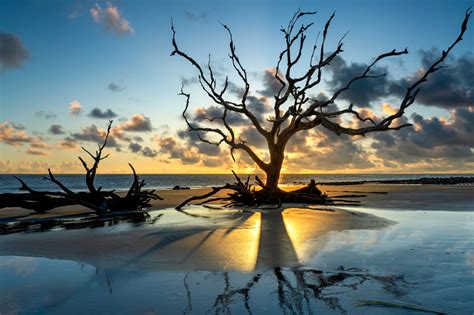 Jekyll Islands Driftwood Beach Photography Tips Firefall Photography