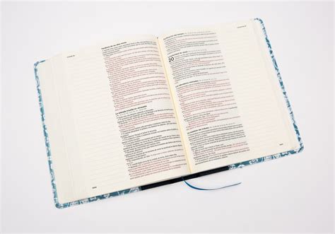 Las Mejores Biblias De Apuntes Analisis Comparativa Y Tips Top Biblia