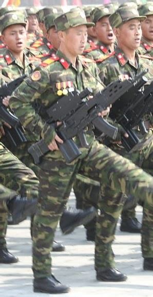 Potd North Korean Helical Mags Aka Grenade Launchers The Firearm