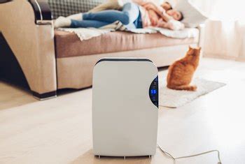 Check spelling or type a new query. How to Make a Stuffy Room Smell Better | Home Guides | SF Gate