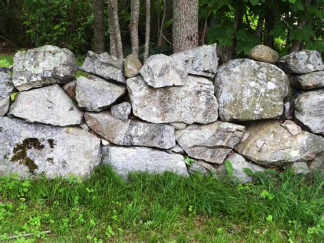 New England Stone Walls Can Be Centuries Old Stock Image Image Of