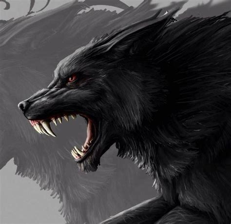 10 Anime Wolf Black Beautiful In 2020 Werewolf Art Wolf Artwork