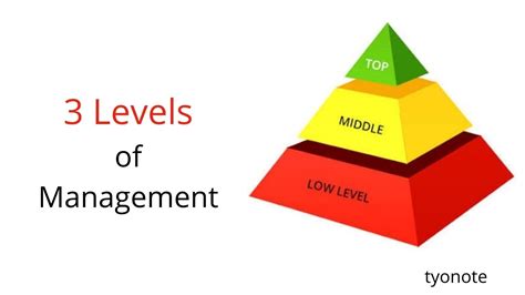 3 Levels Of Management Top Middle And Lower Tyonote