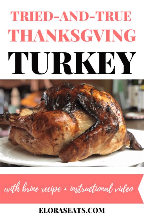 Tried And True Thanksgiving Turkey Elora S Eats