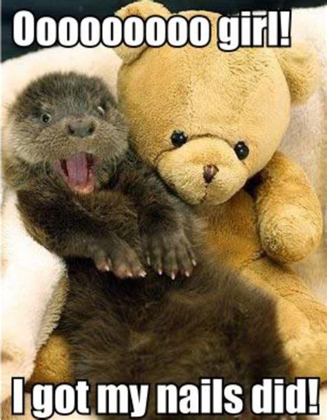 61 Best Funny Animals Saying Funny Things Images On Pinterest
