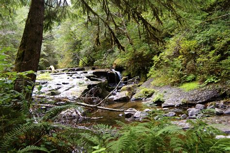Sweet Creek Oregon Favorite Places Natural Landmarks Landmarks