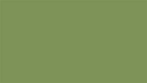 Piquant Green Similar Color 7c9256 Information Hsl Rgb Pantone