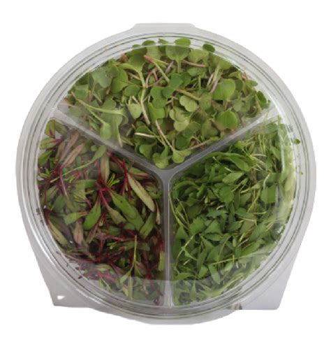 Mix Microgreens Farm Fresh Products Food Products Supplier Supple