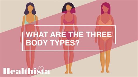 What Are The Three Body Types Youtube