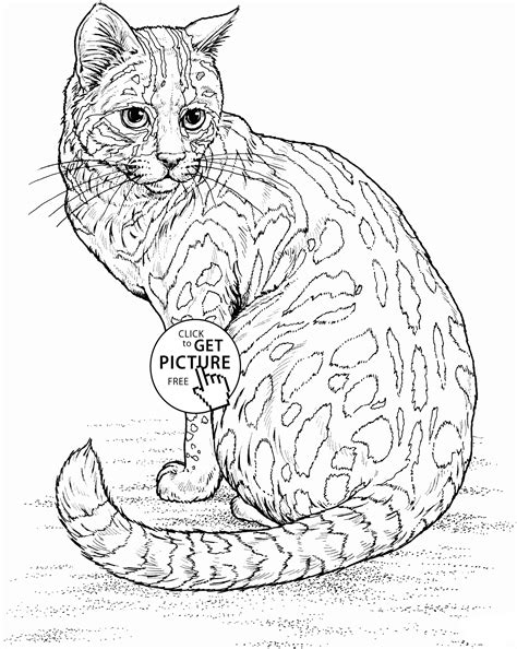 Realistic Cat coloring page for kids, animal coloring pages printables