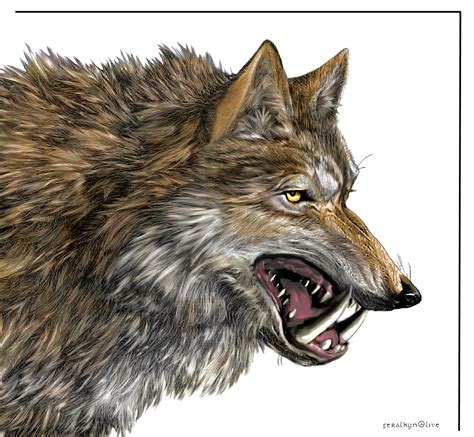 Dire Wolf Color By Feralkyn On Deviantart