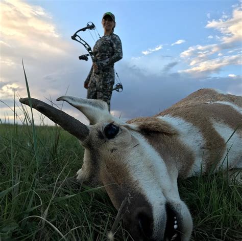There are many methods for creating a european skull mount. The taxidermist called and my antelope mount is ready to ...