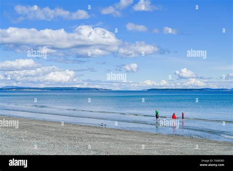 People On Beach Cordova Bay Saanich British Columbia Canada Stock