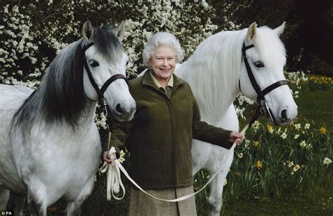 Nooit Te Oud Queen Elizabeth Stapt Gewoon Weer Op Haar Paard