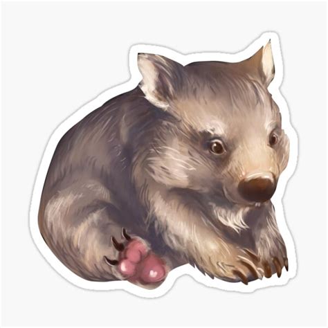Wombat Ts And Merchandise For Sale Redbubble