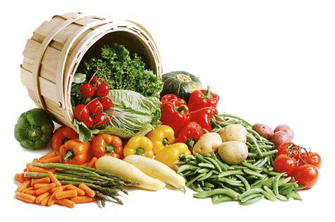 Collection Of Vegetable Png Hd Pluspng