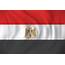 Vortex Appoints Representative Agent For Egypt  2018 09 18 World Grain