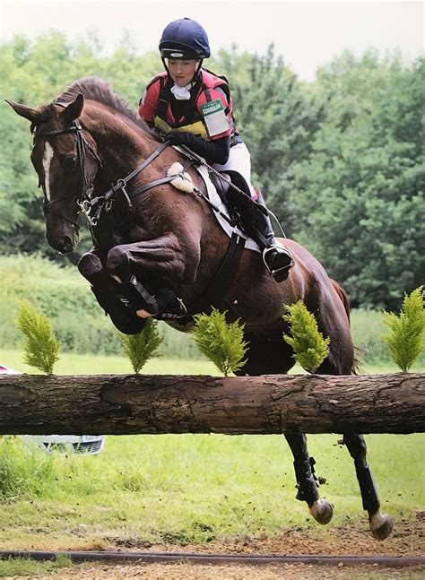 We would like to show you a description here but the site won't allow us. From racecourse to event horse | The Gaitpost