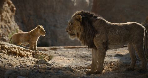‘the Lion King Reboot Roars With A Ferocious And Darker Look