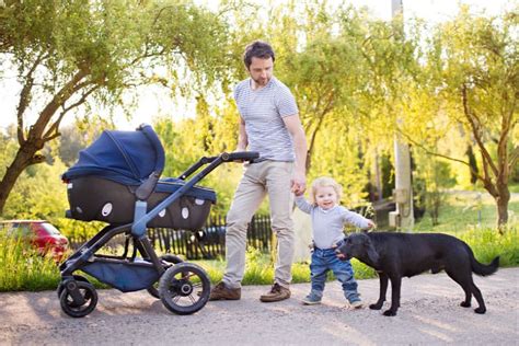 Why Do Dogs Protect Human Babies