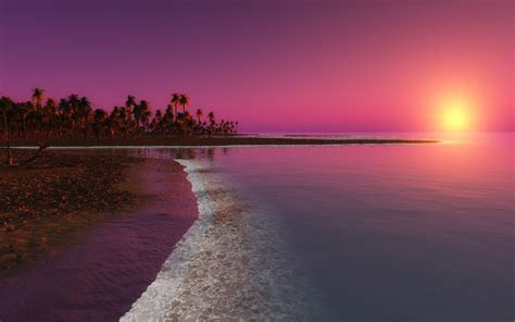 Pink Tropical Beach Wallpapers Top Free Pink Tropical Beach