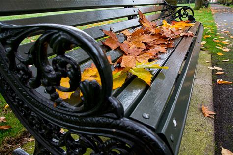 A London Park Bench In Autumn Photograph By Reka Komoli