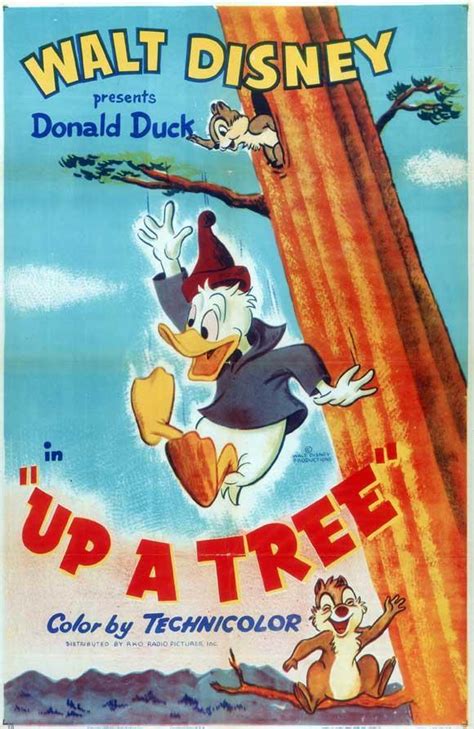 Walt Disneys Donald Duck Up A Tree C 1955 Filmaffinity