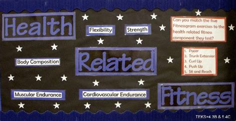 Bulletin Board 5 Components Of Physical Fitness