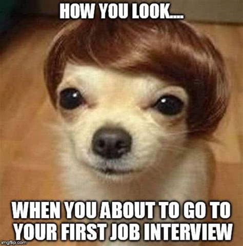 30 Funniest Job Interview Memes Of All Time