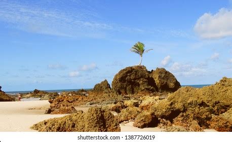 Brazilian Beach Tambaba Nudism Beach Northeast ภาพสตอก แกไขตอนน
