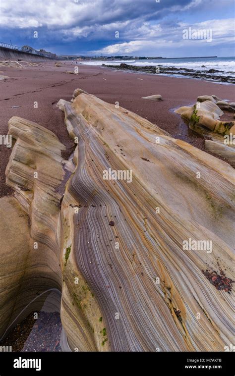 Devonian Rocks Hi Res Stock Photography And Images Alamy