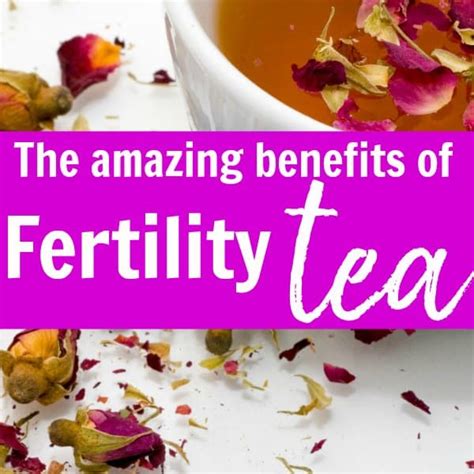 5 Herbal Teas To Increase Fertility Naturally
