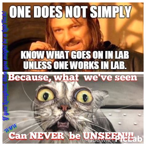 Pin By Pam Smith On Clinical Laboratory Science Lab Rats Lab Humor