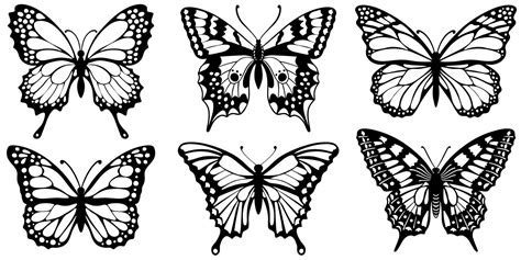 Drawing Black Silhouettes Of Butterflies On A White Background 5937582