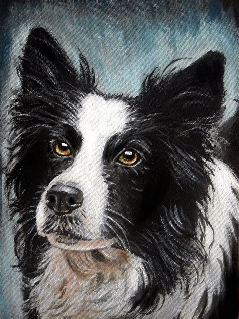 Border Collie Portrait Acrylic On Canvas Dog Drawing Border Collie