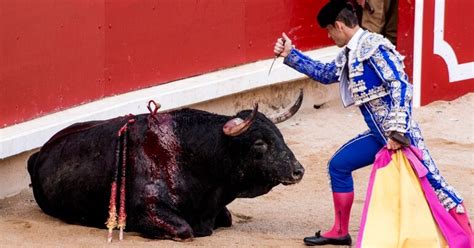 Bull Killings In Spanish Bullrings Decline By 56