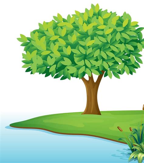 A Tree Near The Body Of Water 525720 Vector Art At Vecteezy