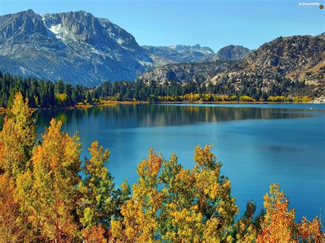 Viewes Autumn Lake Trees Mountains For Desktop Wallpapers 1600x1200