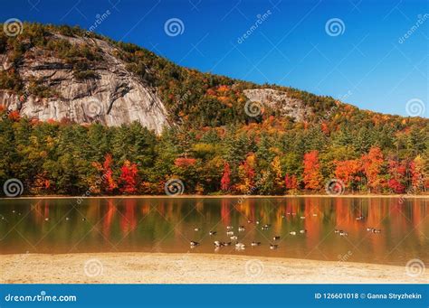 A Lake Among The Hills With Bright Colorful Autumn Trees Sunny Day