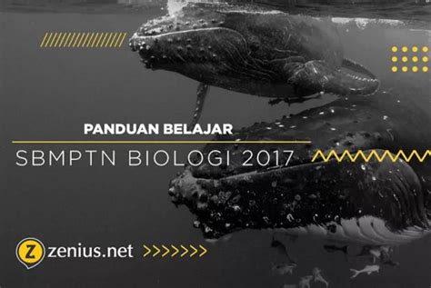 Download soal dan pembahasan un kimia 2018 pdf doc. Soal Sbmptn Biologi 2017 Dan Pembahasannya - Nasi