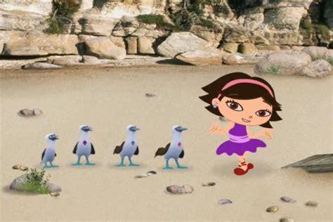 Blue Footed Booby Bird Beach Little Einsteins Wiki Fandom