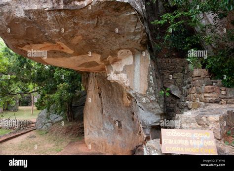 Sigiriya Rock Fortress Cobra Hood Cave Sri Lanka Stock Photo Alamy