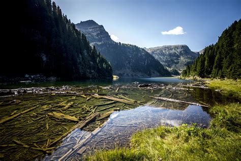 Lago Lagorai Natura Laghi Trentino