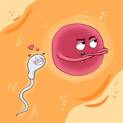sabia que é o óvulo que escolhe o espermatozoide e não o contrário incrível